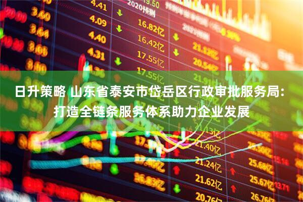 日升策略 山东省泰安市岱岳区行政审批服务局: 打造全链条服务体系助力企业发展