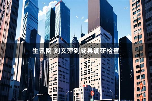 生讯网 刘文萍到威县调研检查
