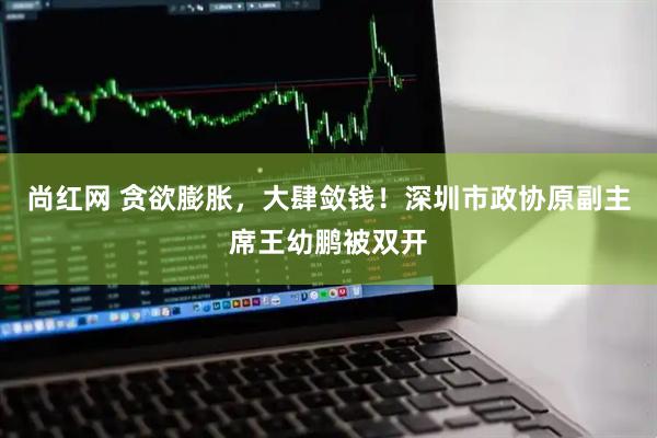 尚红网 贪欲膨胀，大肆敛钱！深圳市政协原副主席王幼鹏被双开