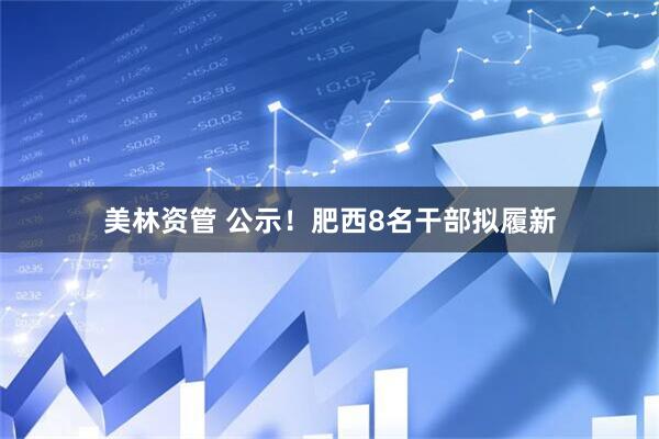 美林资管 公示！肥西8名干部拟履新