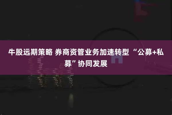 牛股远期策略 券商资管业务加速转型 “公募+私募”协同发展