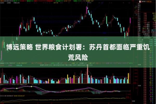博远策略 世界粮食计划署：苏丹首都面临严重饥荒风险