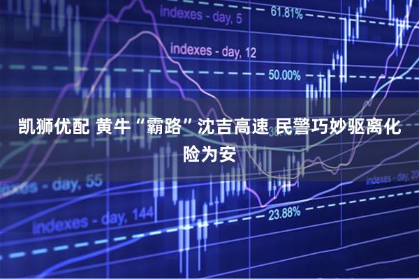 凯狮优配 黄牛“霸路”沈吉高速 民警巧妙驱离化险为安