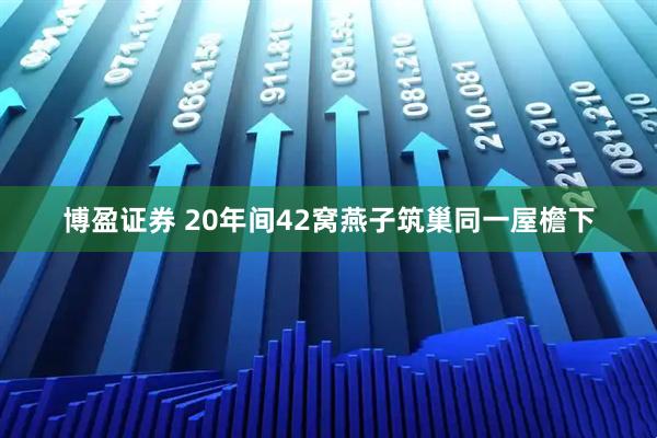 博盈证券 20年间42窝燕子筑巢同一屋檐下