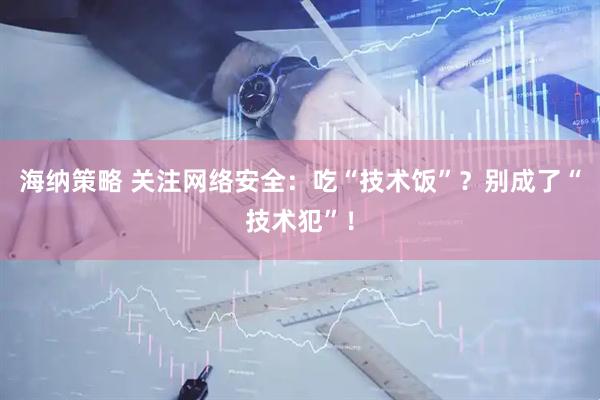 海纳策略 关注网络安全：吃“技术饭”？别成了“技术犯”！