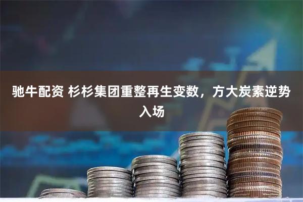 驰牛配资 杉杉集团重整再生变数，方大炭素逆势入场