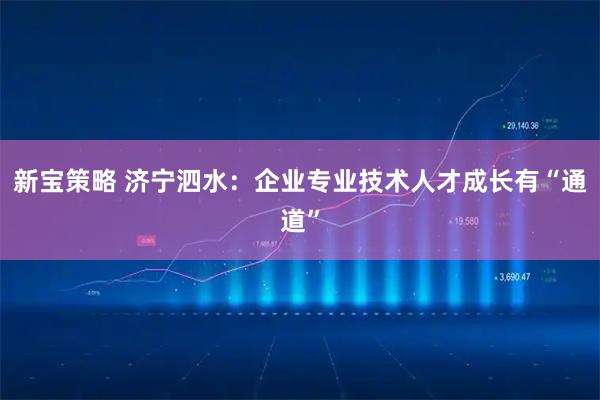 新宝策略 济宁泗水：企业专业技术人才成长有“通道”