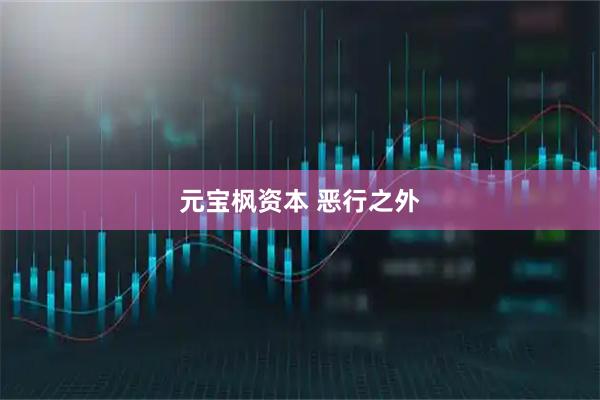 元宝枫资本 恶行之外
