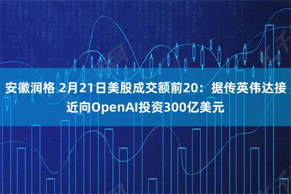 安徽润格 2月21日美股成交额前20：据传英伟达接近向OpenAI投资300亿美元